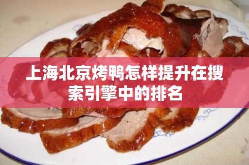 上海北京烤鸭怎样提升在搜索引擎中的排名
