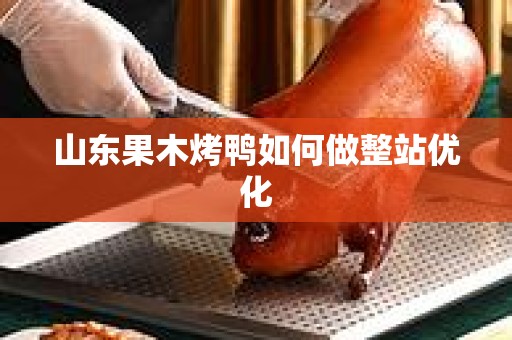 山东果木烤鸭如何做整站优化