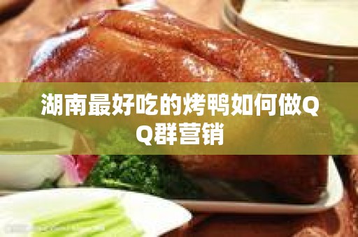 湖南最好吃的烤鸭如何做QQ群营销