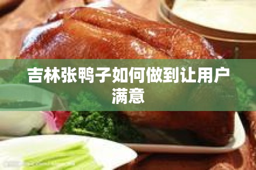 吉林张鸭子如何做到让用户满意