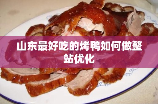 山东最好吃的烤鸭如何做整站优化