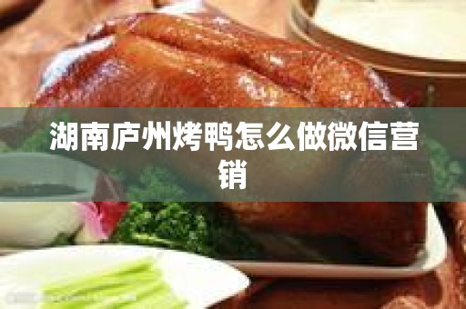 湖南庐州烤鸭怎么做微信营销