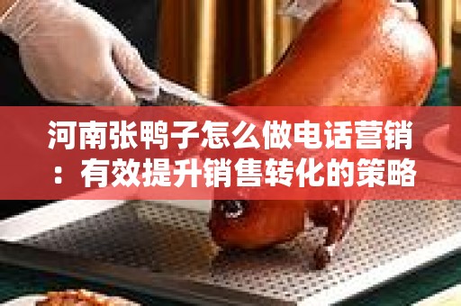 河南张鸭子怎么做电话营销：有效提升销售转化的策略