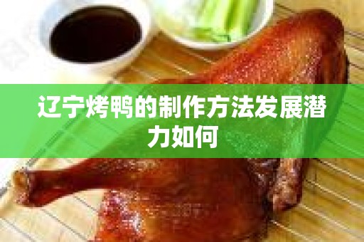 辽宁烤鸭的制作方法发展潜力如何