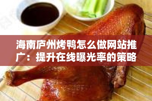 海南庐州烤鸭怎么做网站推广：提升在线曝光率的策略