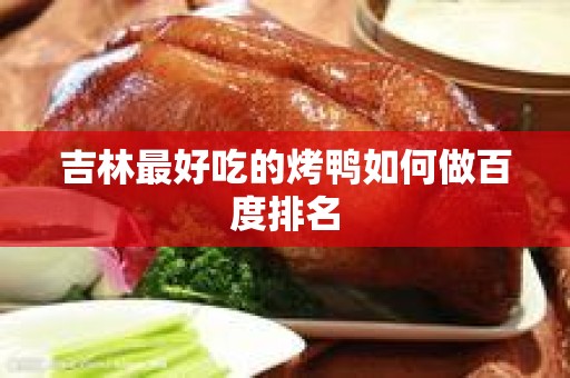 吉林最好吃的烤鸭如何做百度排名