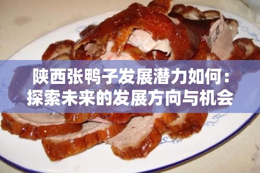 陕西张鸭子发展潜力如何：探索未来的发展方向与机会