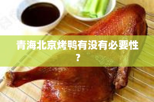 青海北京烤鸭有没有必要性？