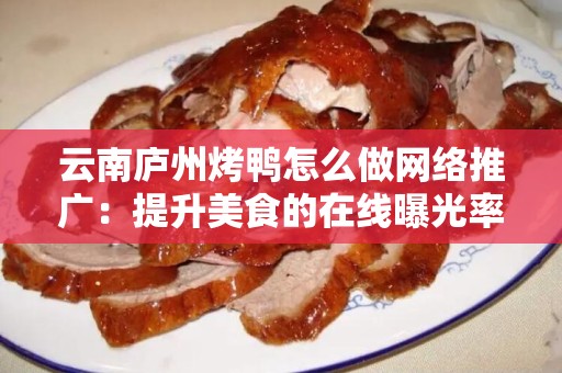 云南庐州烤鸭怎么做网络推广：提升美食的在线曝光率