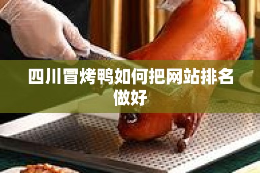 四川冒烤鸭如何把网站排名做好