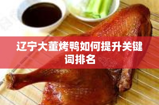 辽宁大董烤鸭如何提升关键词排名