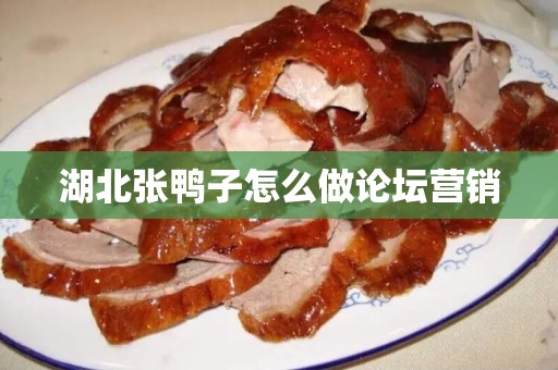 湖北张鸭子怎么做论坛营销