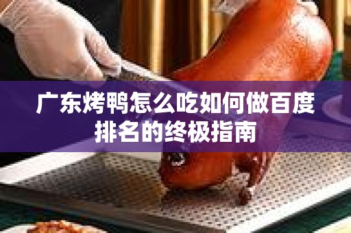 广东烤鸭怎么吃如何做百度排名的终极指南