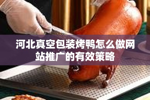 河北真空包装烤鸭怎么做网站推广的有效策略
