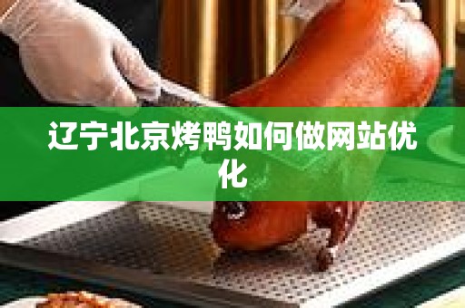辽宁北京烤鸭如何做网站优化
