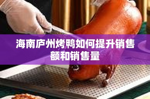海南庐州烤鸭如何提升销售额和销售量