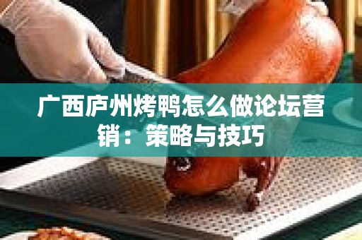 广西庐州烤鸭怎么做论坛营销：策略与技巧