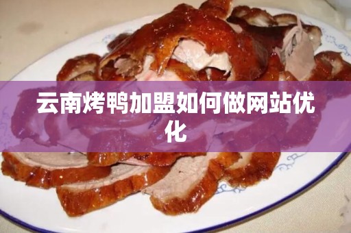 云南烤鸭加盟如何做网站优化