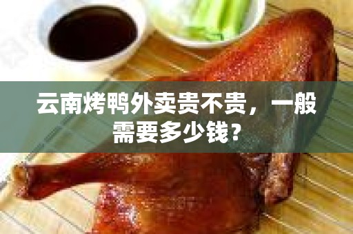 云南烤鸭外卖贵不贵，一般需要多少钱？