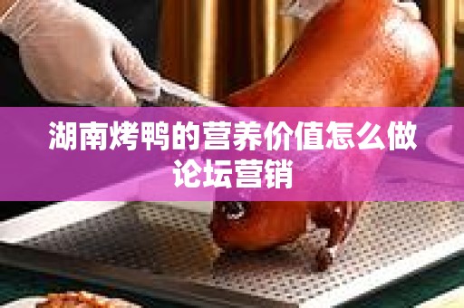湖南烤鸭的营养价值怎么做论坛营销