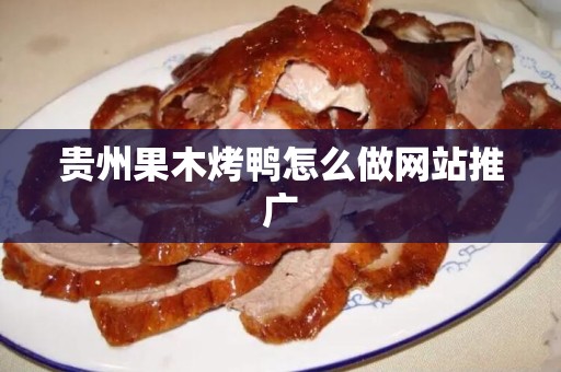 贵州果木烤鸭怎么做网站推广
