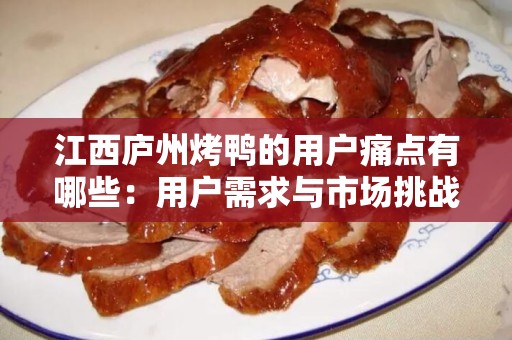 江西庐州烤鸭的用户痛点有哪些：用户需求与市场挑战