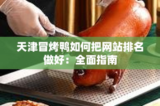 天津冒烤鸭如何把网站排名做好：全面指南