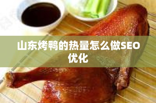 山东烤鸭的热量怎么做SEO优化