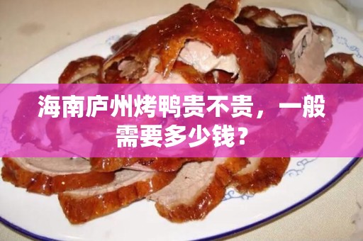 海南庐州烤鸭贵不贵，一般需要多少钱？