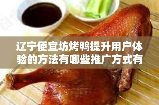 辽宁便宜坊烤鸭提升用户体验的方法有哪些推广方式有哪些