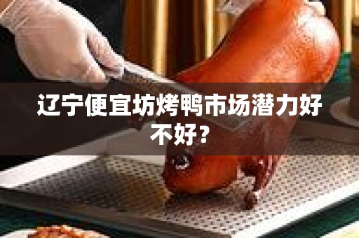 辽宁便宜坊烤鸭市场潜力好不好？