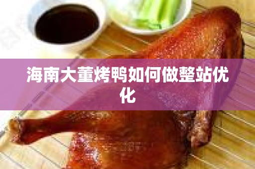 海南大董烤鸭如何做整站优化