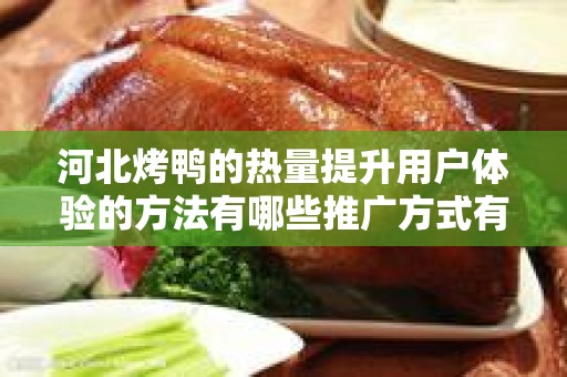 河北烤鸭的热量提升用户体验的方法有哪些推广方式有哪些