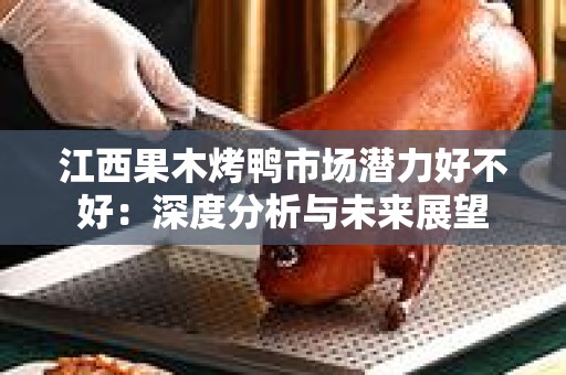江西果木烤鸭市场潜力好不好：深度分析与未来展望