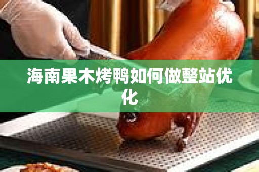 海南果木烤鸭如何做整站优化