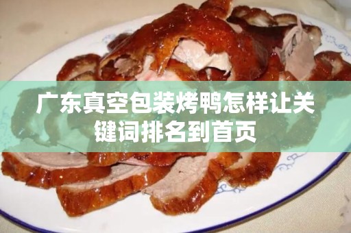 广东真空包装烤鸭怎样让关键词排名到首页