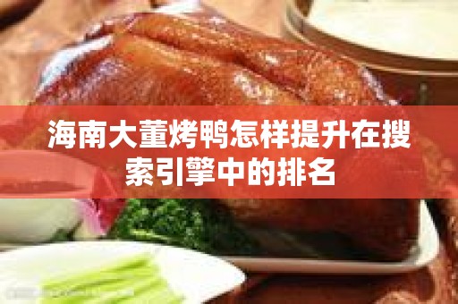海南大董烤鸭怎样提升在搜索引擎中的排名