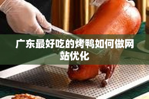广东最好吃的烤鸭如何做网站优化