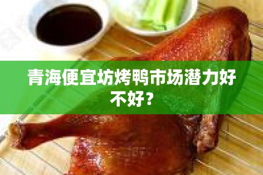 青海便宜坊烤鸭市场潜力好不好？