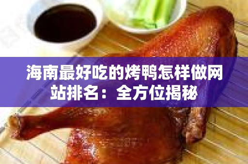 海南最好吃的烤鸭怎样做网站排名：全方位揭秘