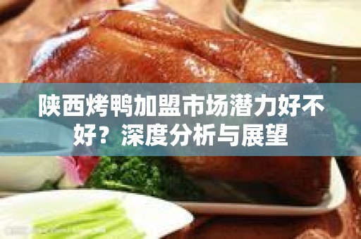 陕西烤鸭加盟市场潜力好不好？深度分析与展望