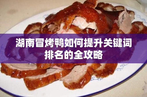 湖南冒烤鸭如何提升关键词排名的全攻略
