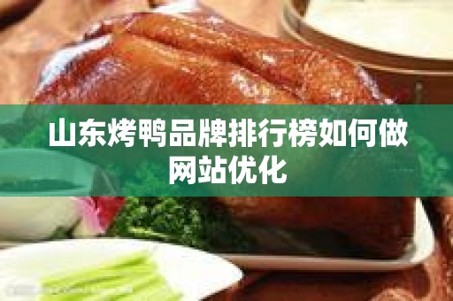山东烤鸭品牌排行榜如何做网站优化