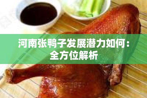 河南张鸭子发展潜力如何：全方位解析
