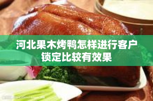 河北果木烤鸭怎样进行客户锁定比较有效果