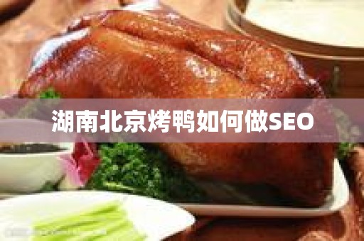 湖南北京烤鸭如何做SEO