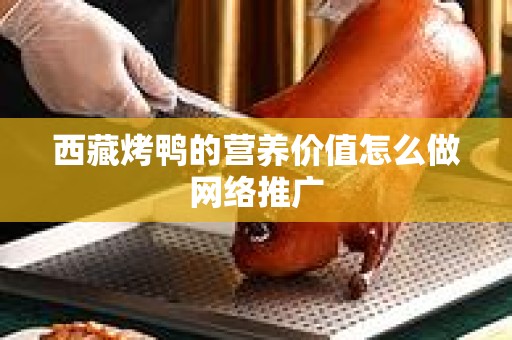 西藏烤鸭的营养价值怎么做网络推广