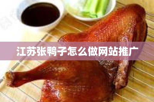 江苏张鸭子怎么做网站推广