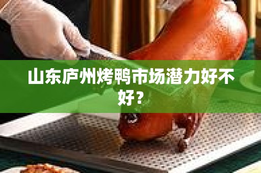 山东庐州烤鸭市场潜力好不好？