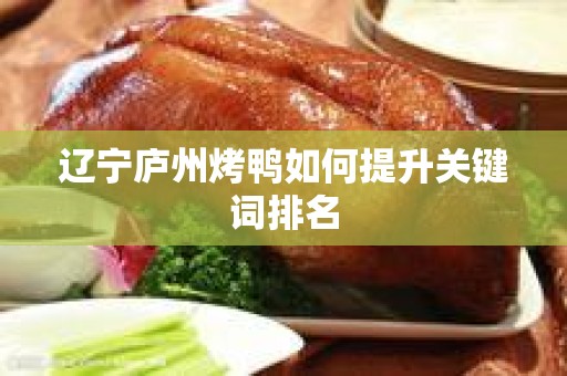 辽宁庐州烤鸭如何提升关键词排名